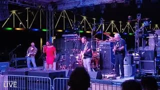 Shemekia Copeland - I'm Gonna Walk