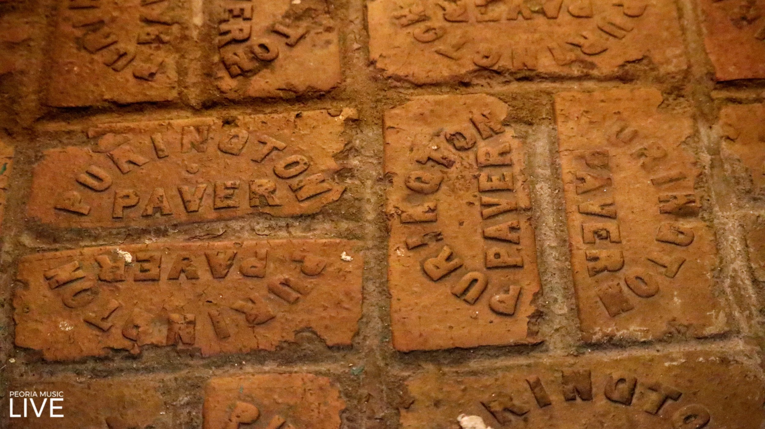 Watermarked 20263050027.jpg