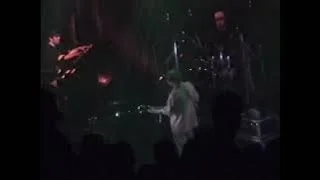 Widespread Panic - Maggot Brain