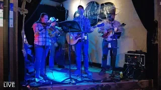 New Cats - Wagon Wheel