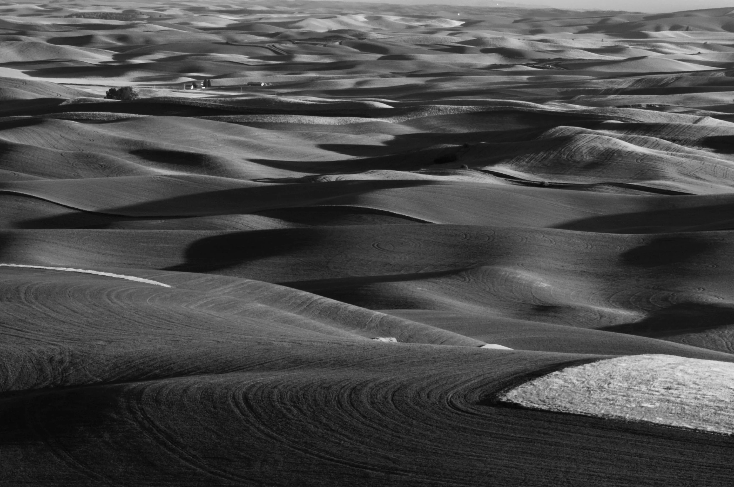 Palouse XIV