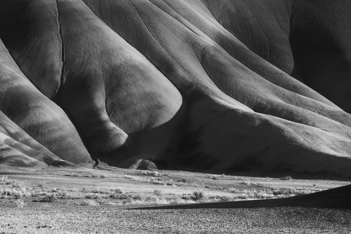 Painted Hills VI