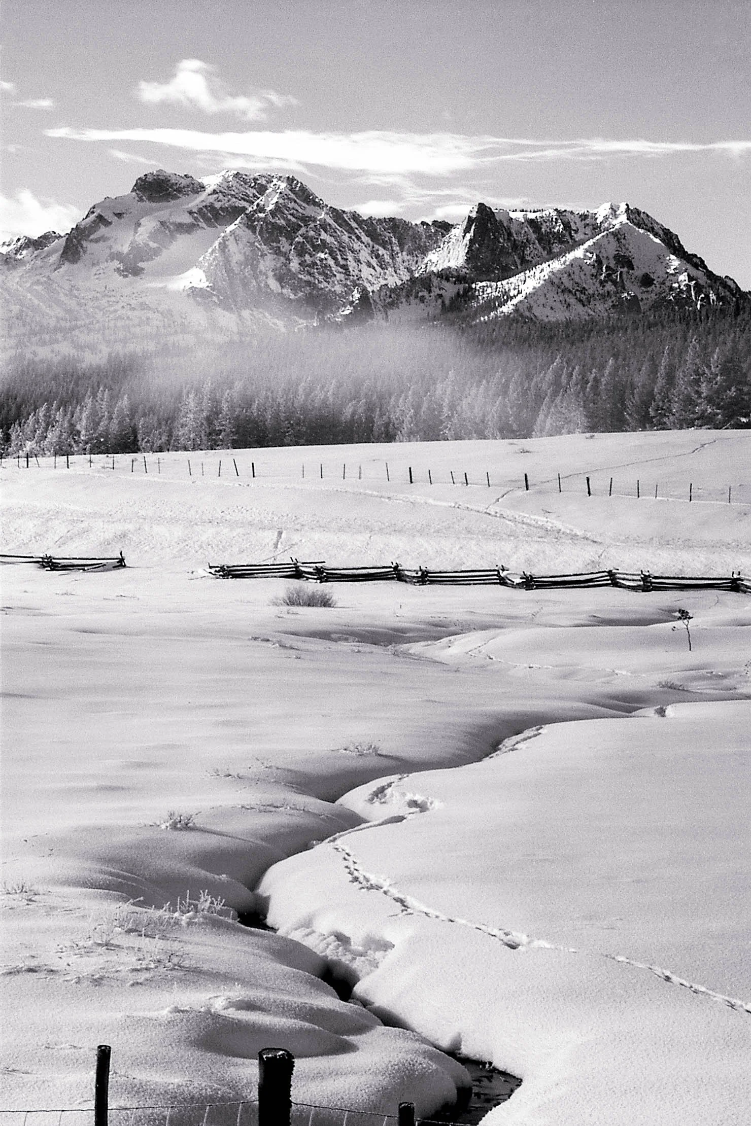 Mt Regan, Sawtooth Wilderness