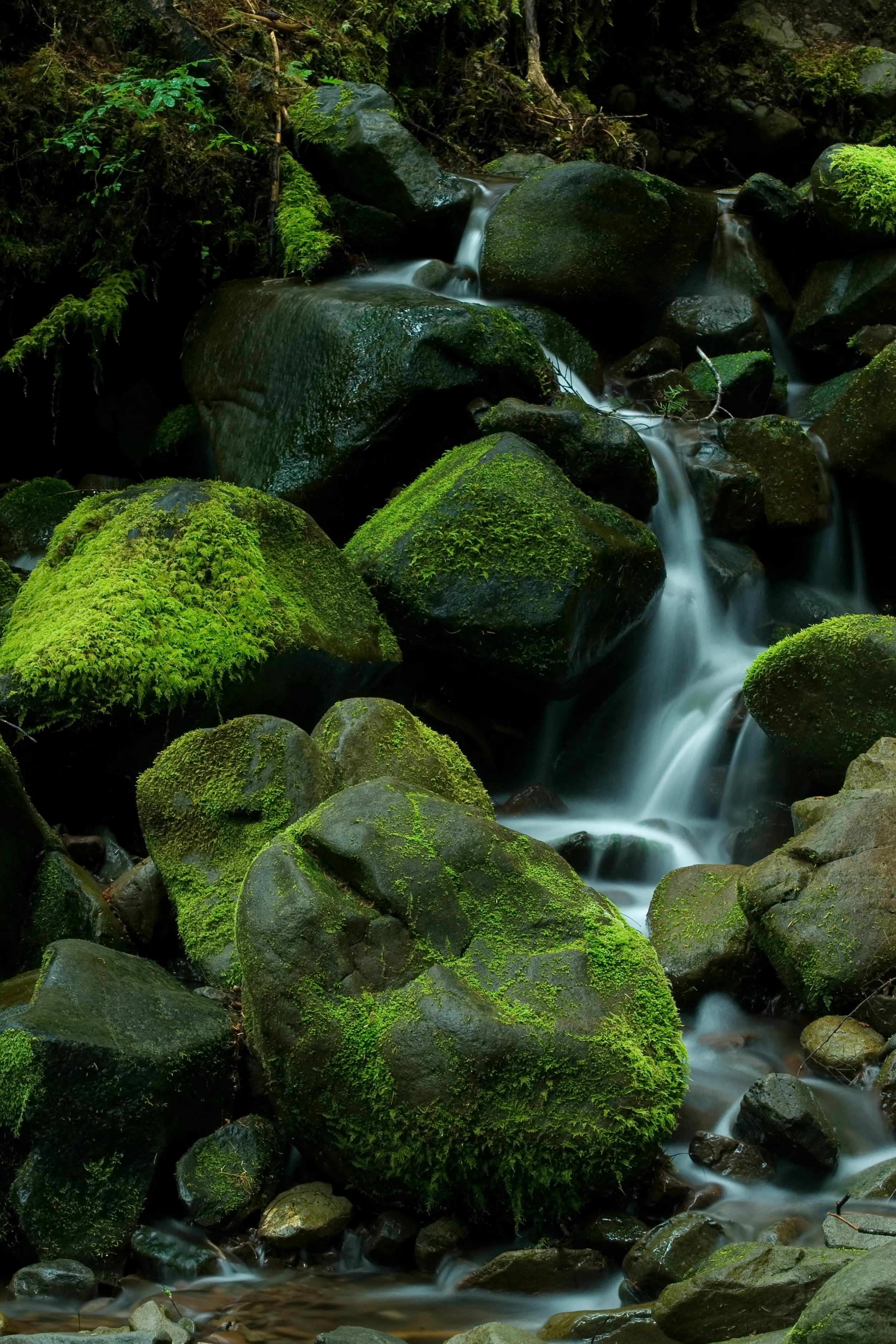 Cascading Stream V