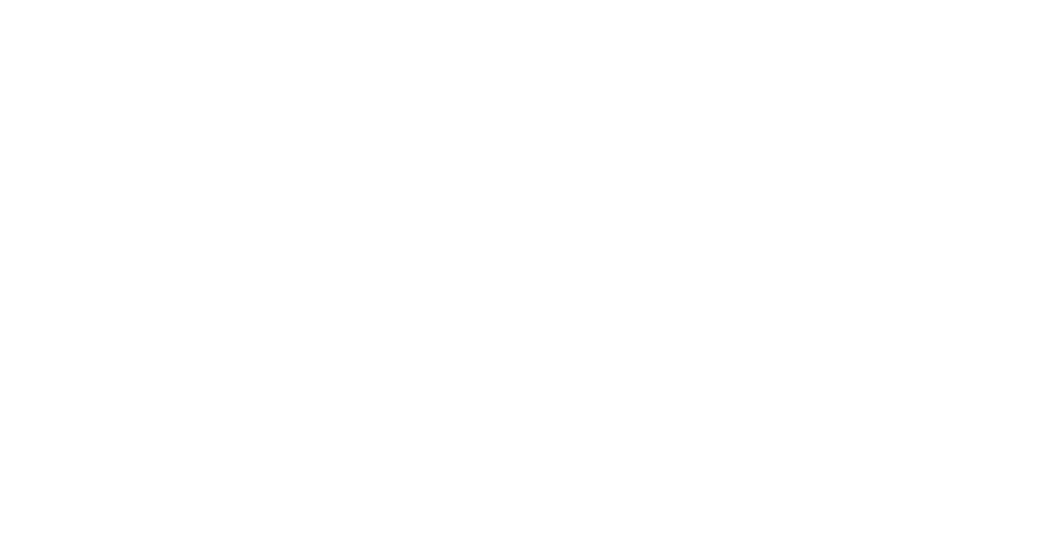 Turner Bison Exchange