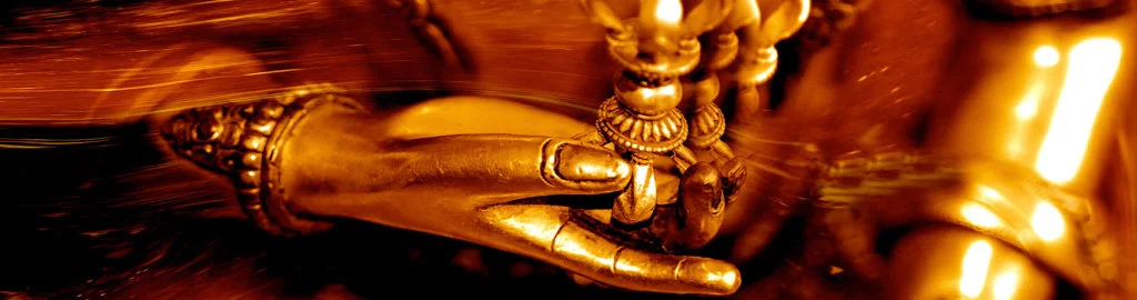 offerings-header-1024x270.jpg