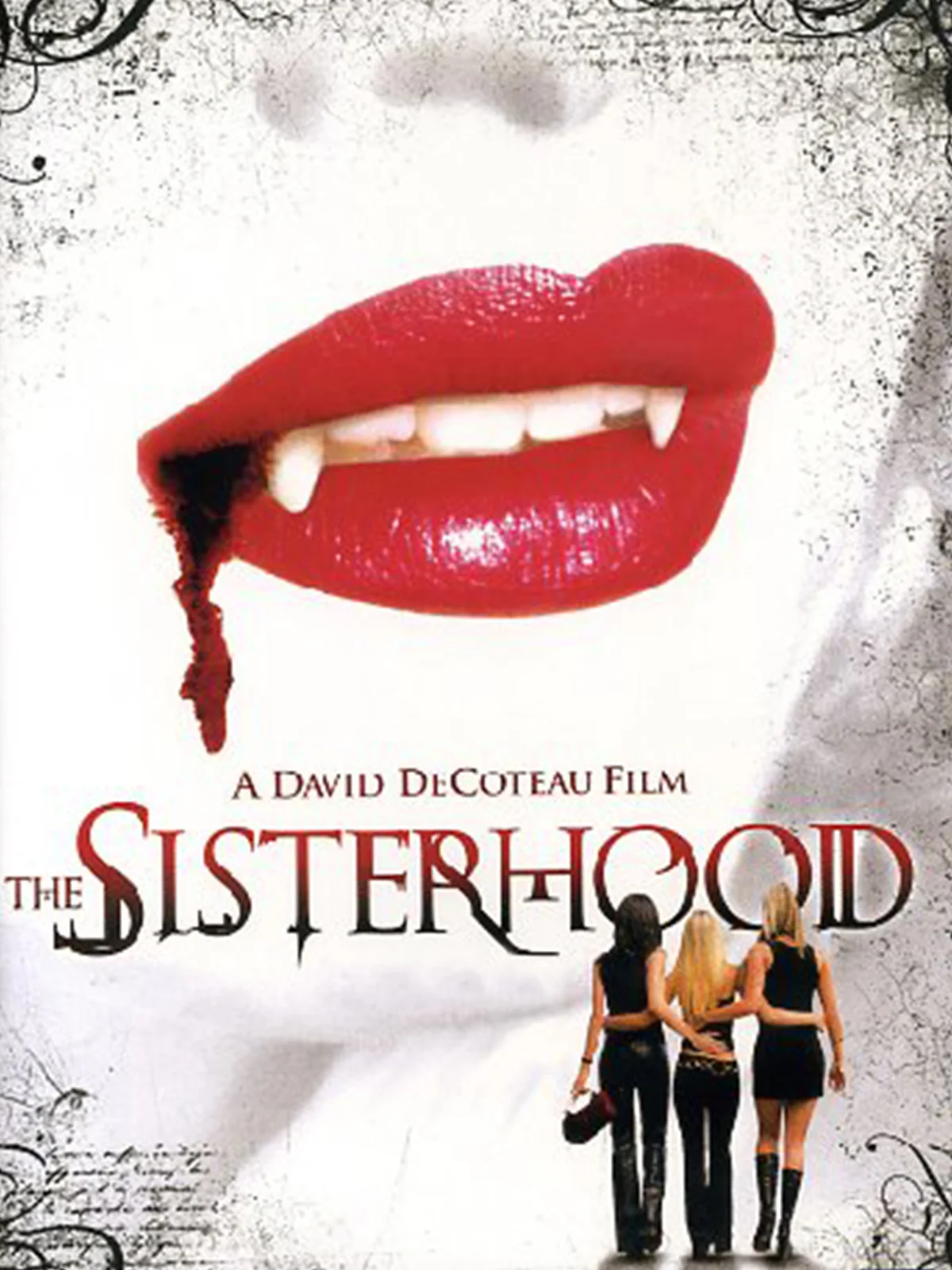 Here-Sisterhood-Full-Image-en-US.jpg