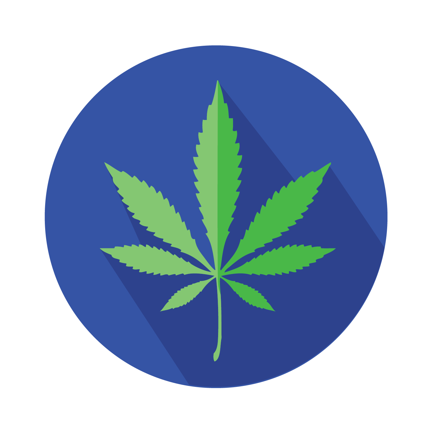 SPANwebsite-02.png