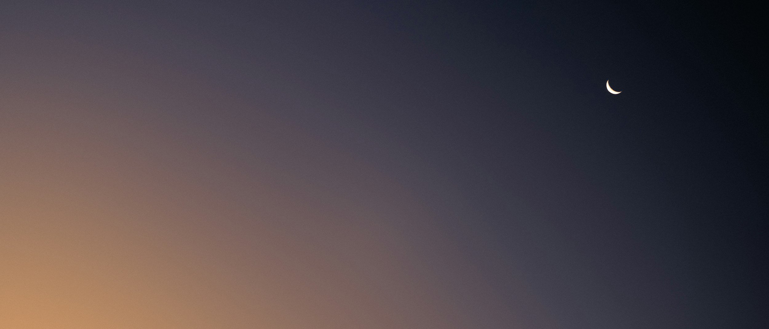 unsplash-image-HuZ0ZavLv74.jpg
