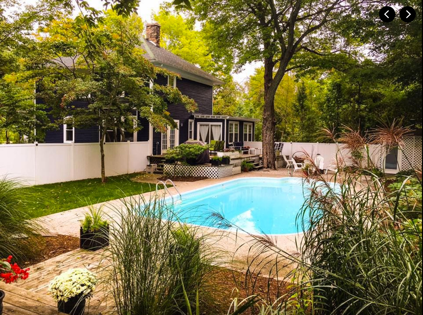 backyard.jpg