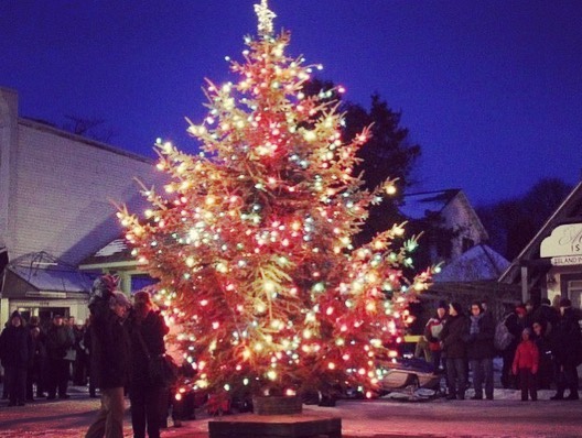 Christmas is a magical time in Saugatuck!  Come visit Allegan Gardens and experience the enchantment of Michigan&rsquo;s Harbor Country 🌲☃️🎅🏼
@allegangardens
@homeaway @vrbo
https://www.vrbo.com/475602
.
.
.
.
#allegangardens #lakemichigan #coasta