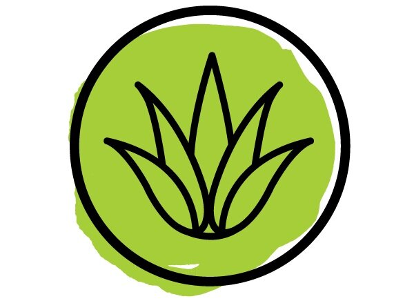 100% Organic Agave