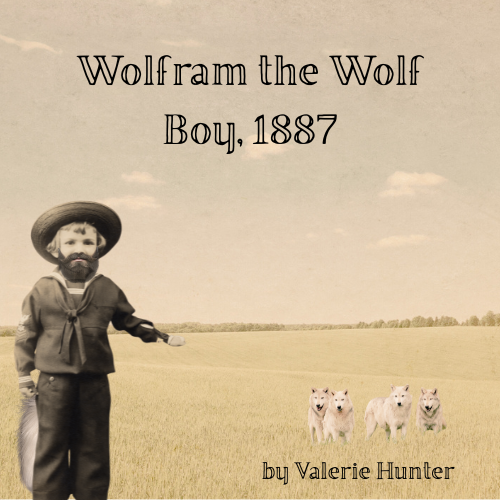 Wolfram the Wolf Boy, 1887