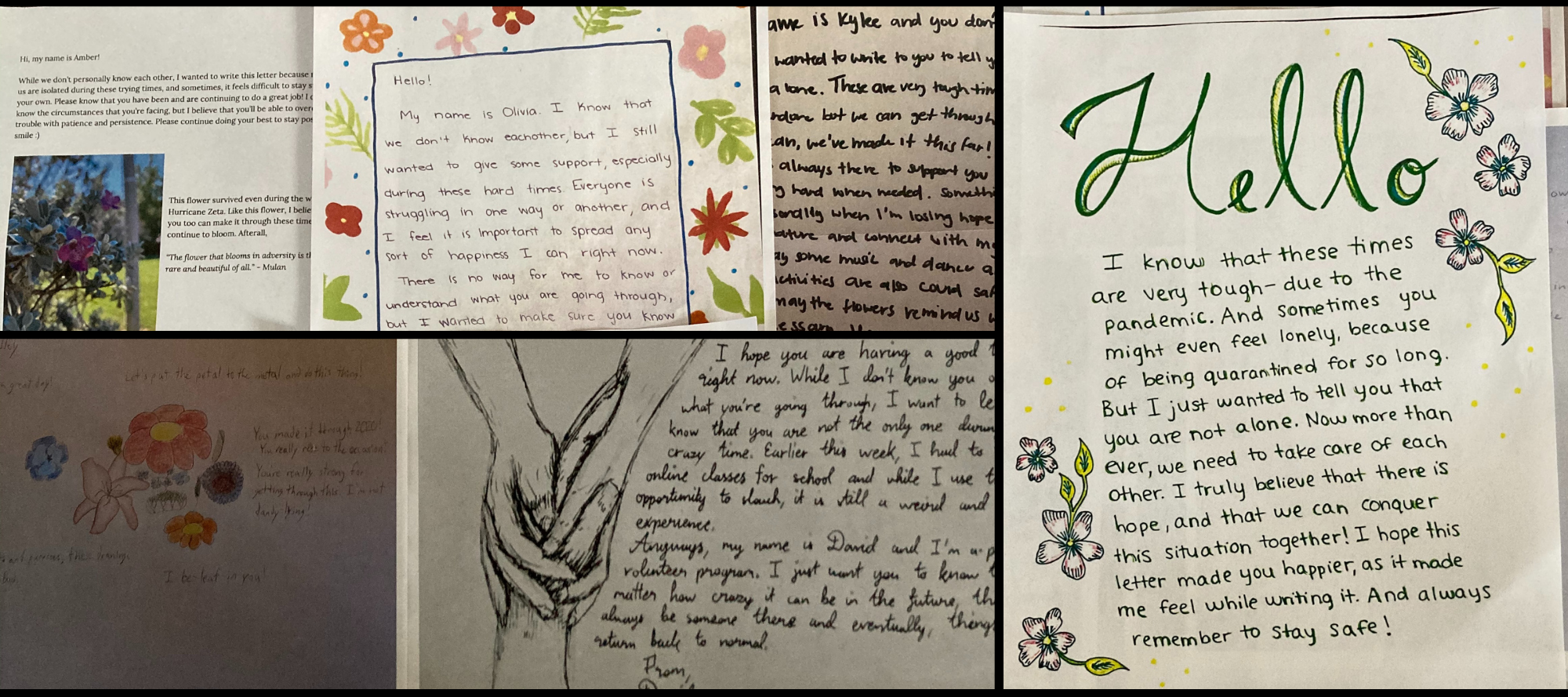 Newsletter Page Banner.png