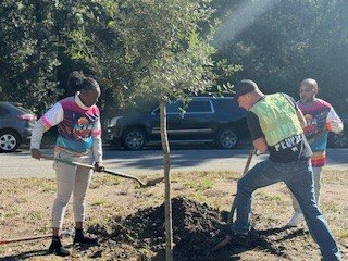 FVD 11-23-24 (14).jpg