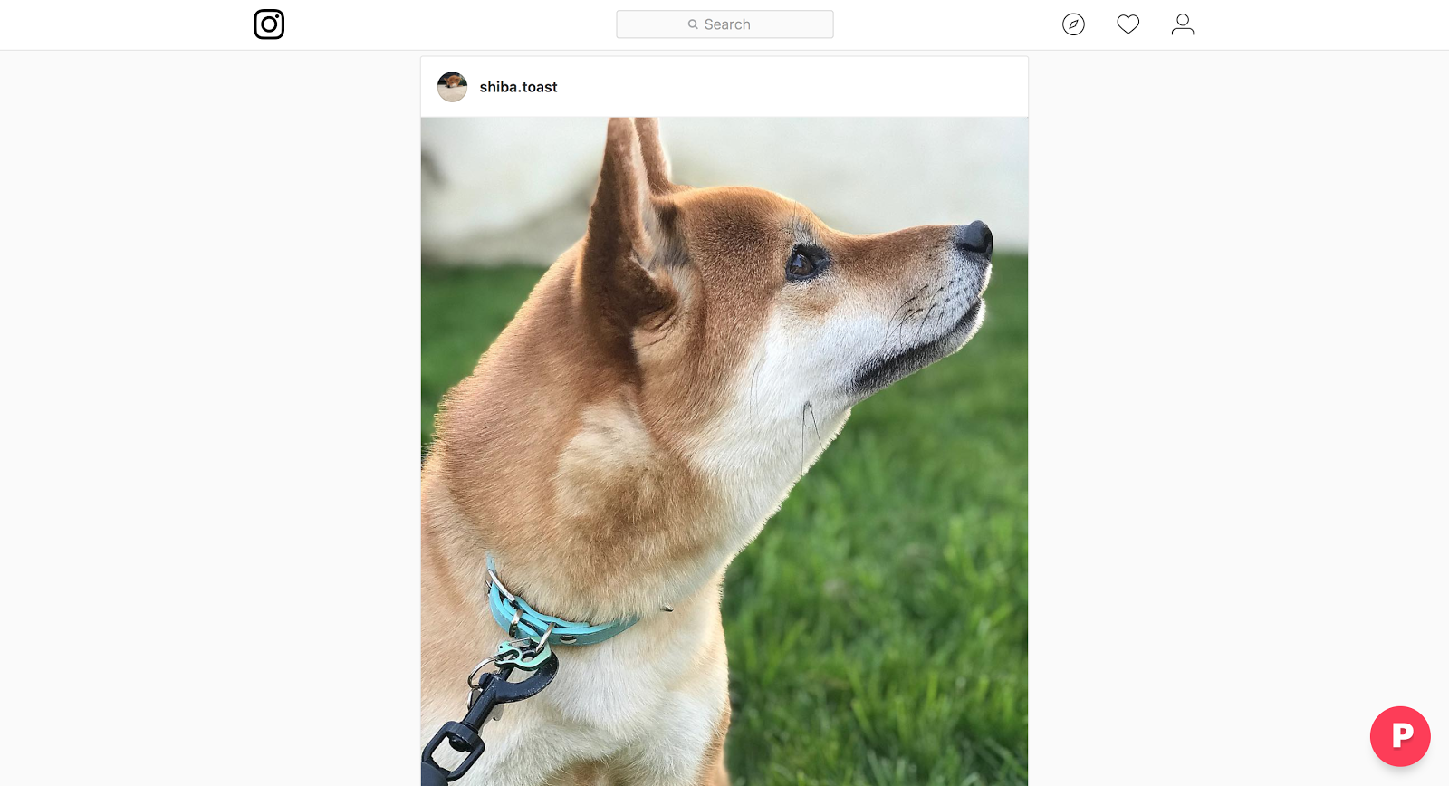 Existing site with Parlay button