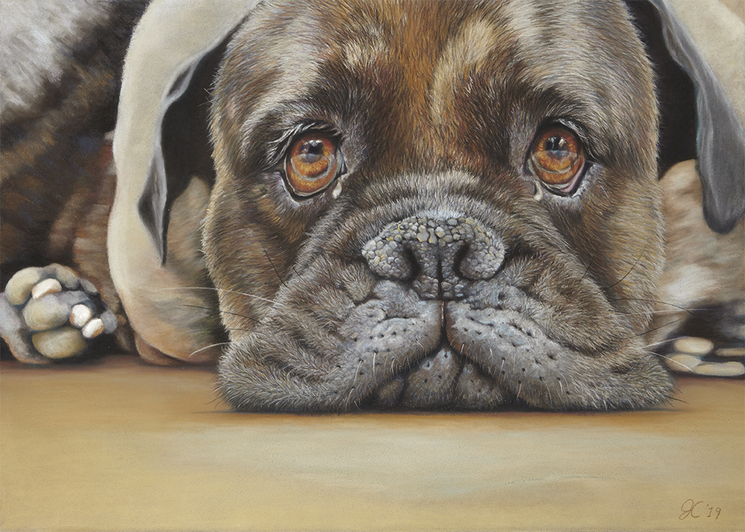 You go fetch! 16.25x 11.75 pastel. Please contact me with any questions or inquiries. 