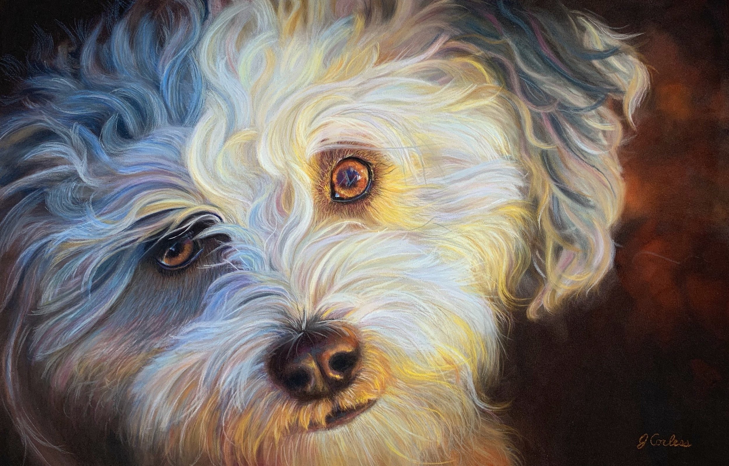 Bright Eyes 11x17 pastel. Please contact me with any questions or inquiries. 