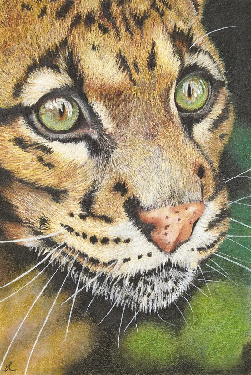 Intense 7.25 x10.75 colored pencil. Please contact me with any questions or inquiries.