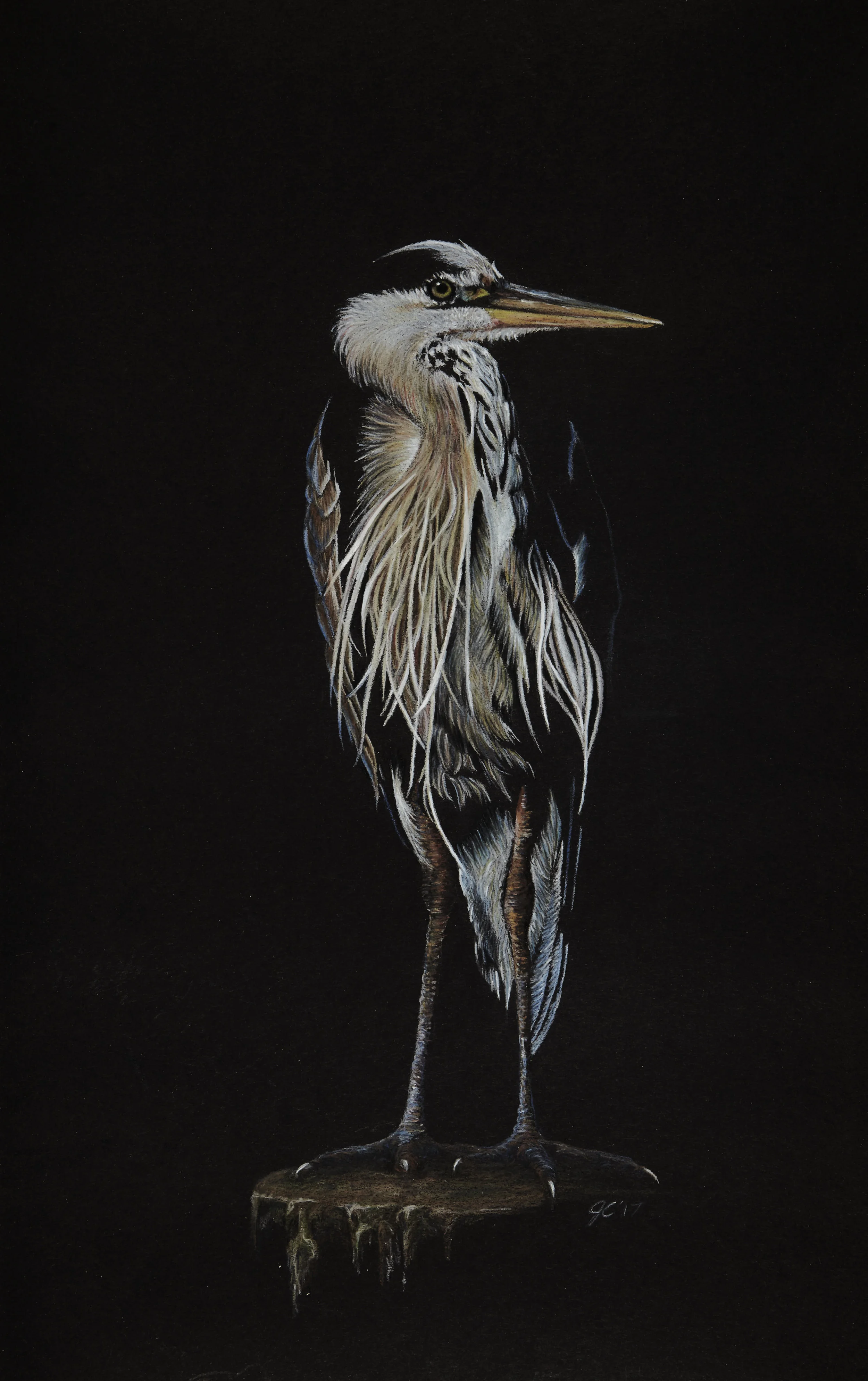Posting 11x17 colored pencil. Please contact me with any questions or inquiries.