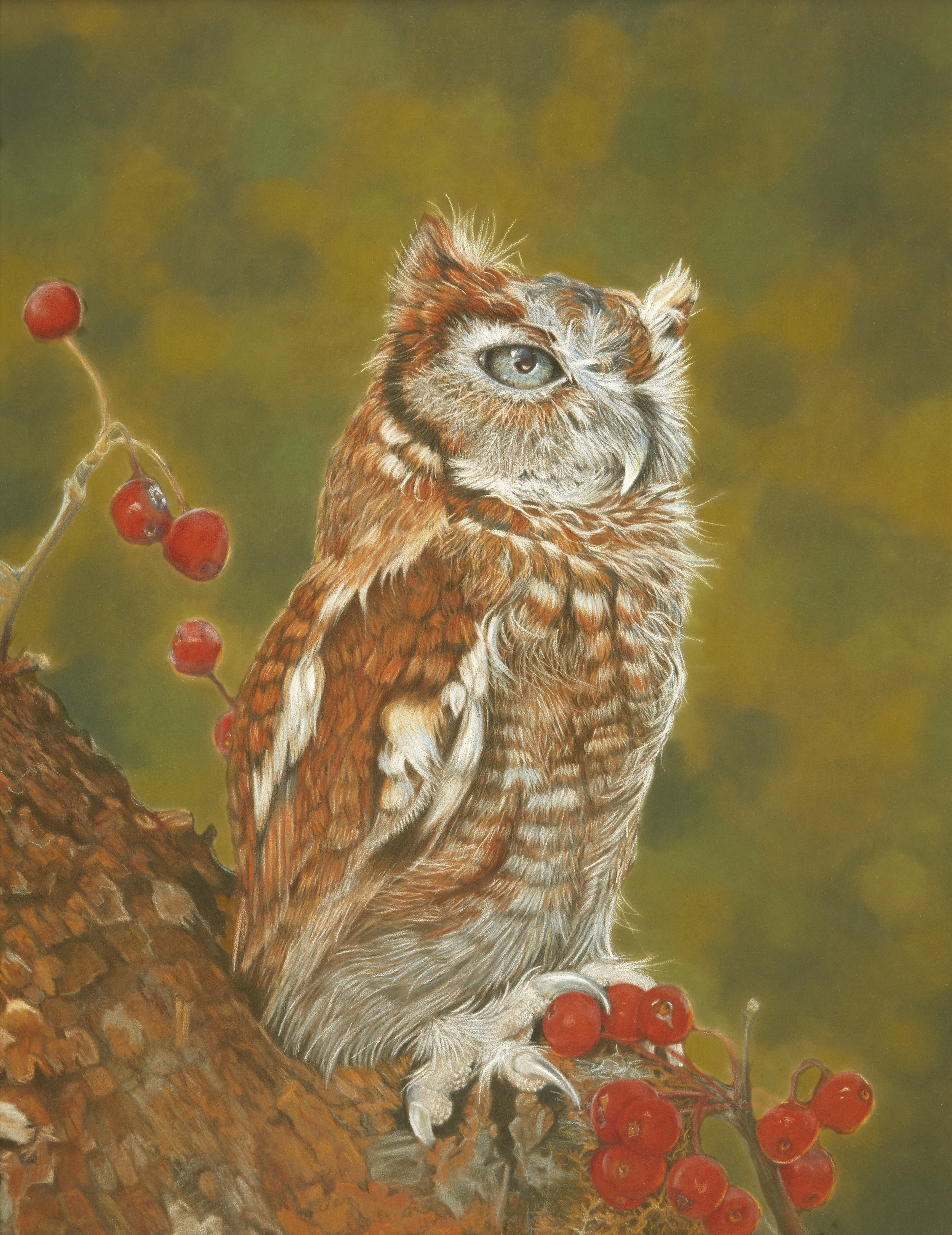 The Guardian 12x15.5 colored pencil with pan pastel background. Please contact me with any questions or inquiries.