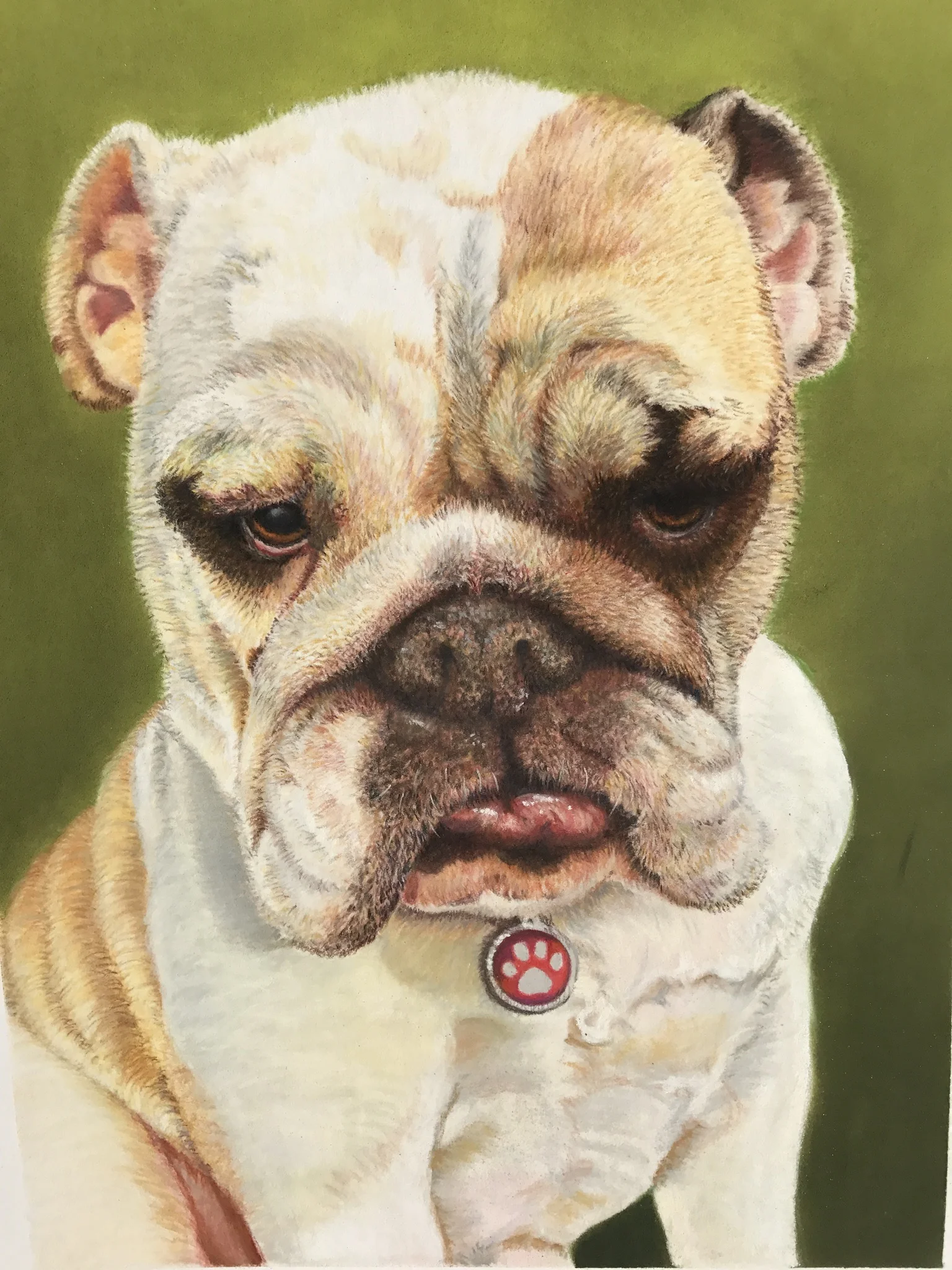 Lola 12x15.5 pastel commissioned, sold.