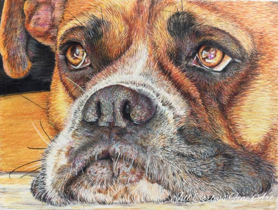 In Lucy’s Eye 5.25x7 colored pencil. Please contact me with any questions or inquiries. 