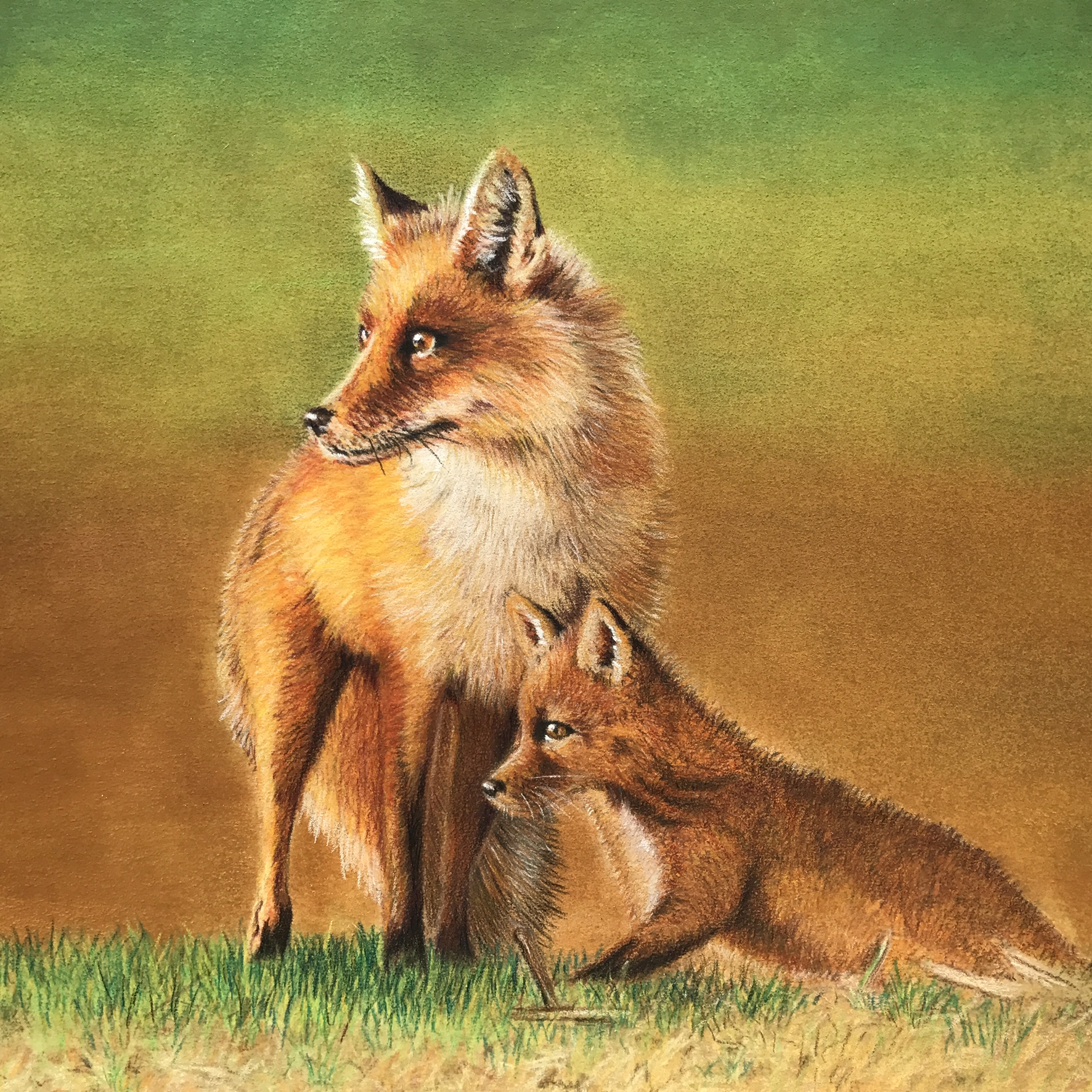 On Alert 9x10.25 colored pencil. Please contact me with any questions or inquiries.