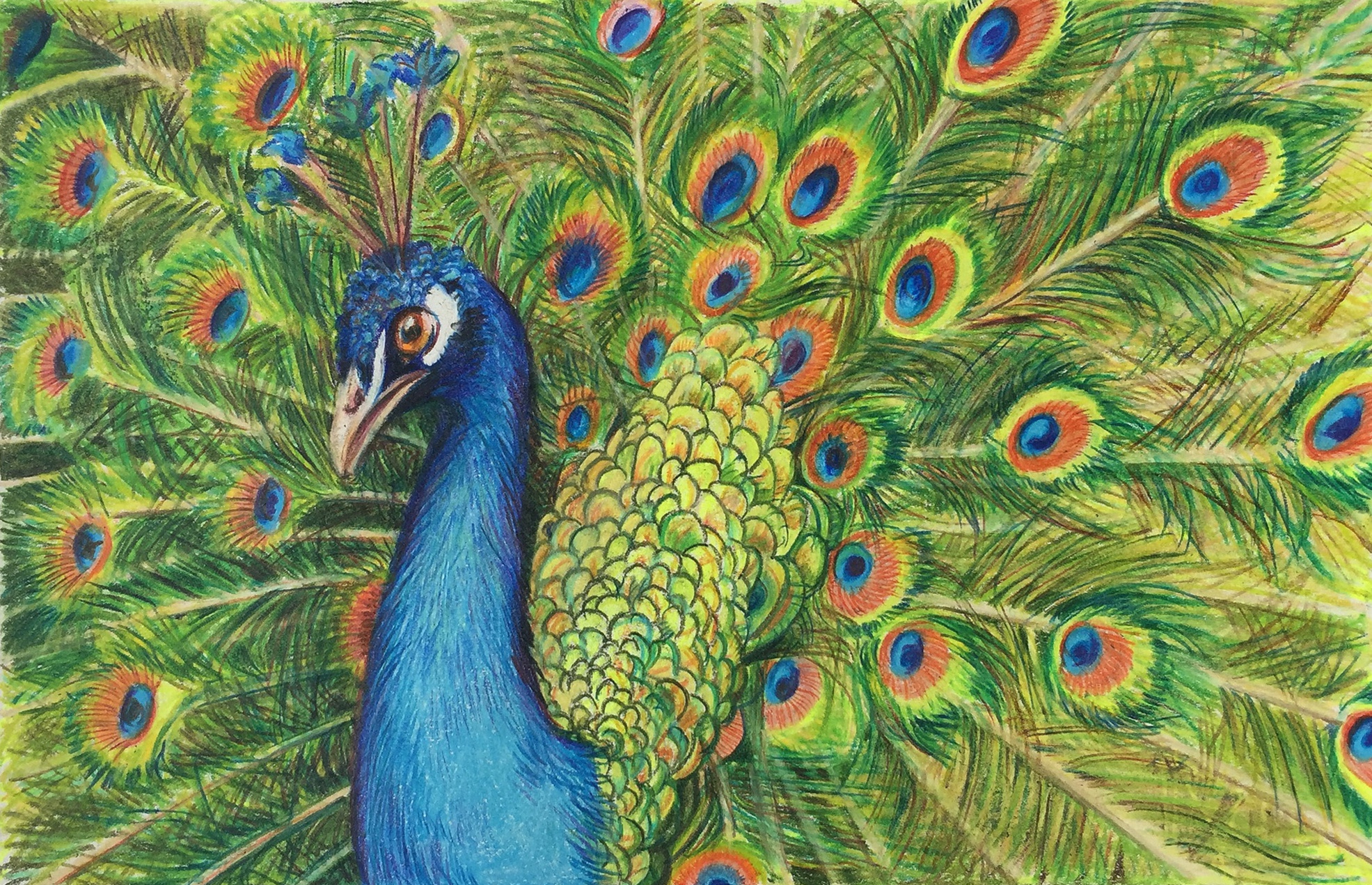 Colored pencil sold