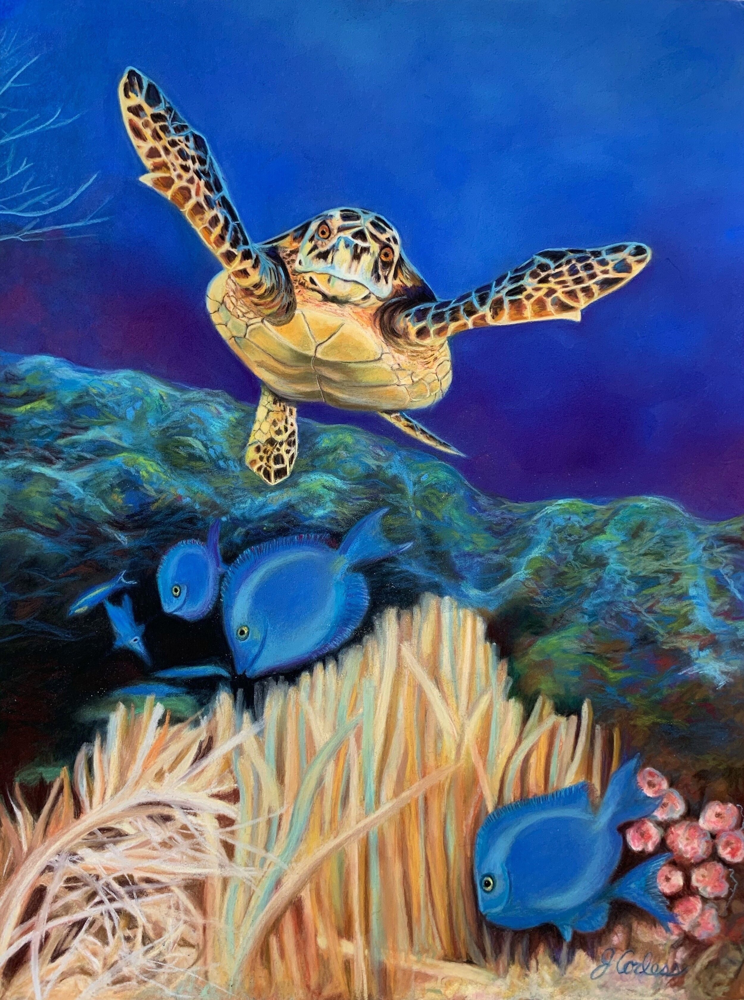 Myrtle the turtle 12x16 pastel please message me with any inquiries 