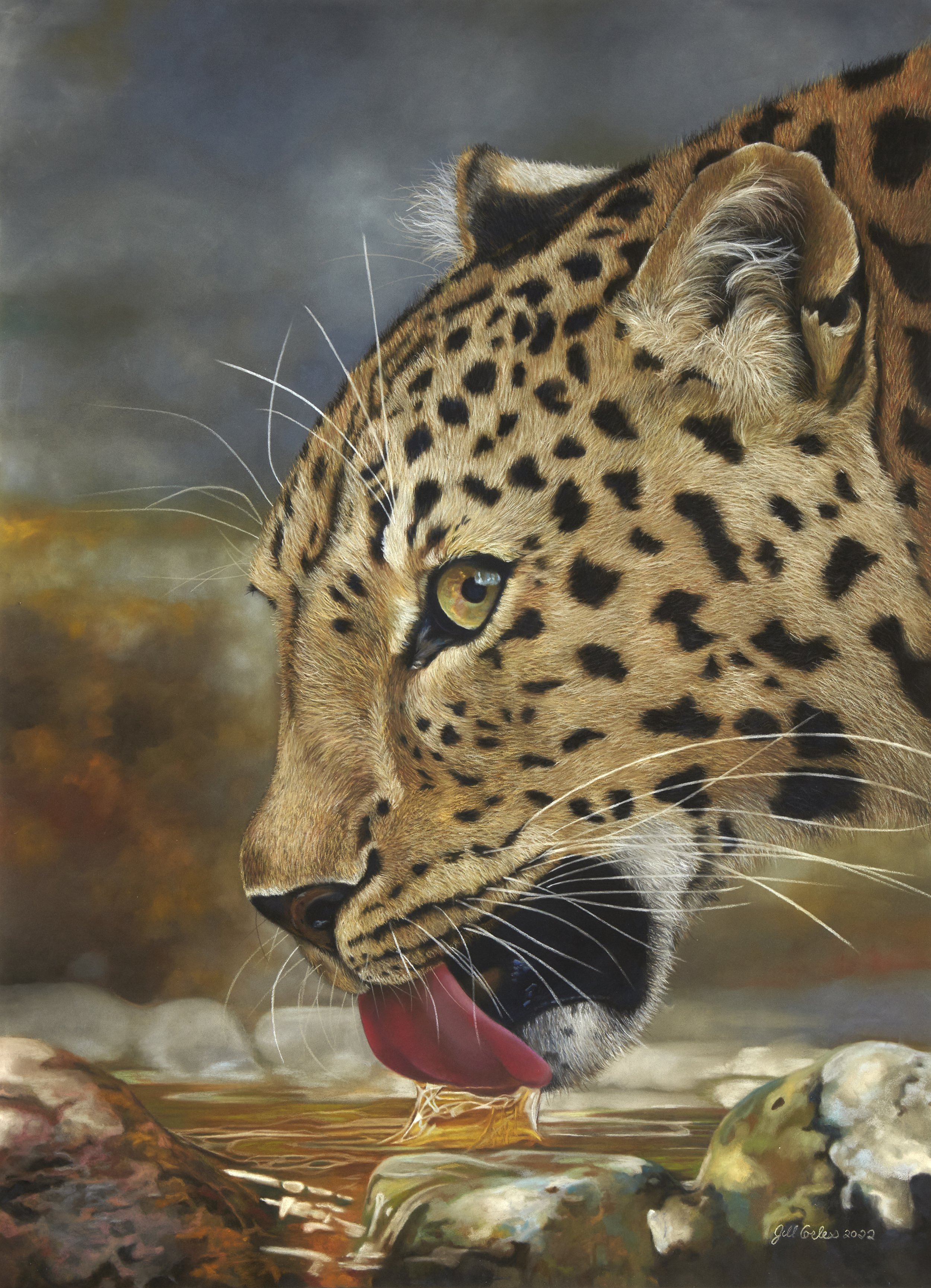“Amur Leopard, the Rarest Big Cat” pastel 28”x20” please message me with any Inquires. 