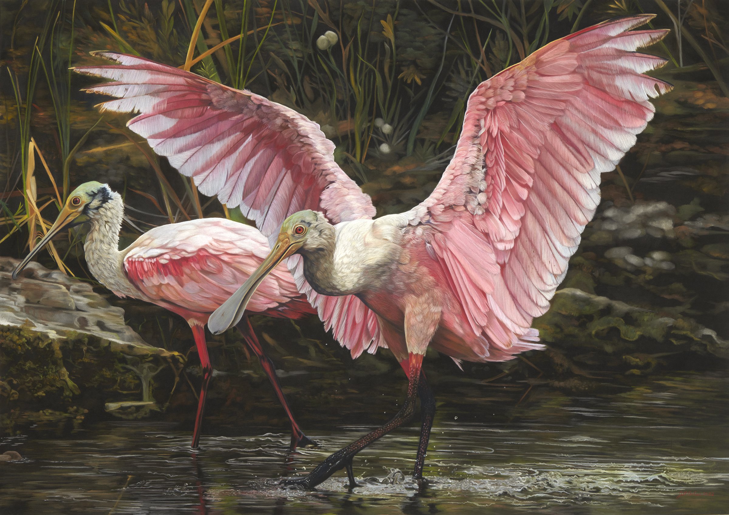 “Dance of the Spoonbill” pastel 28”x40” please contact me with any inquires