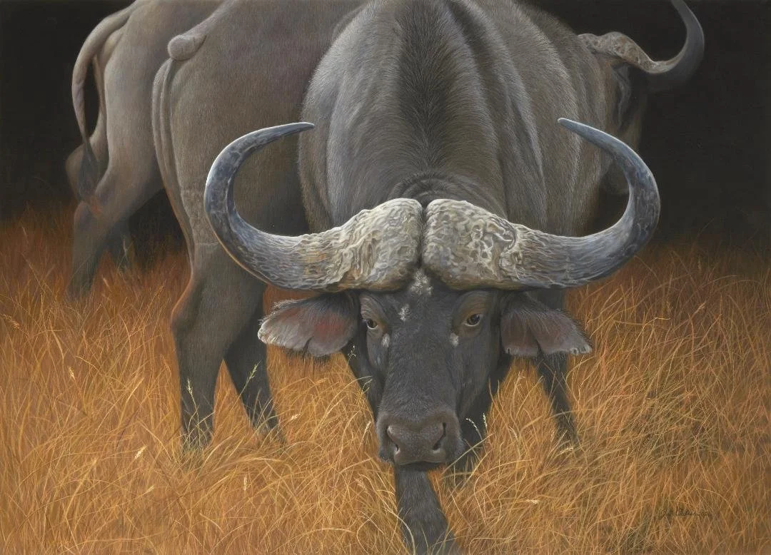 Unyielding 30x40 inch pastel reference my own please contact me with any questions.