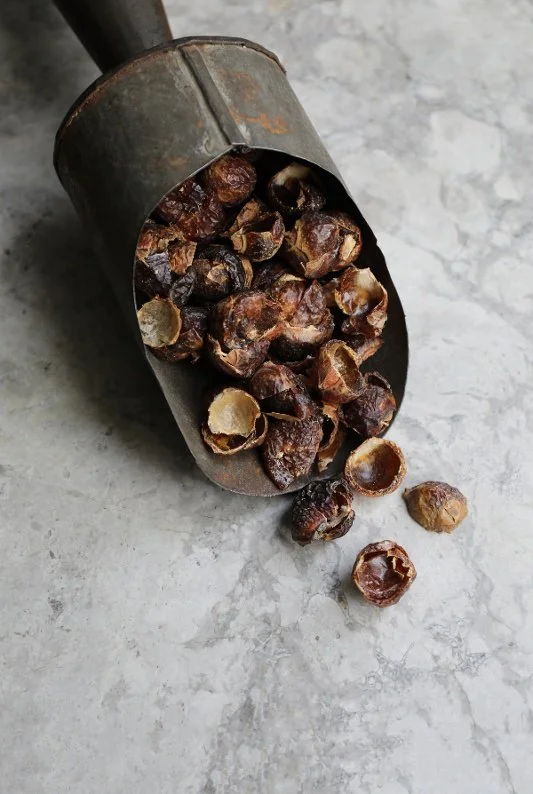 soap nuts pic.jpg