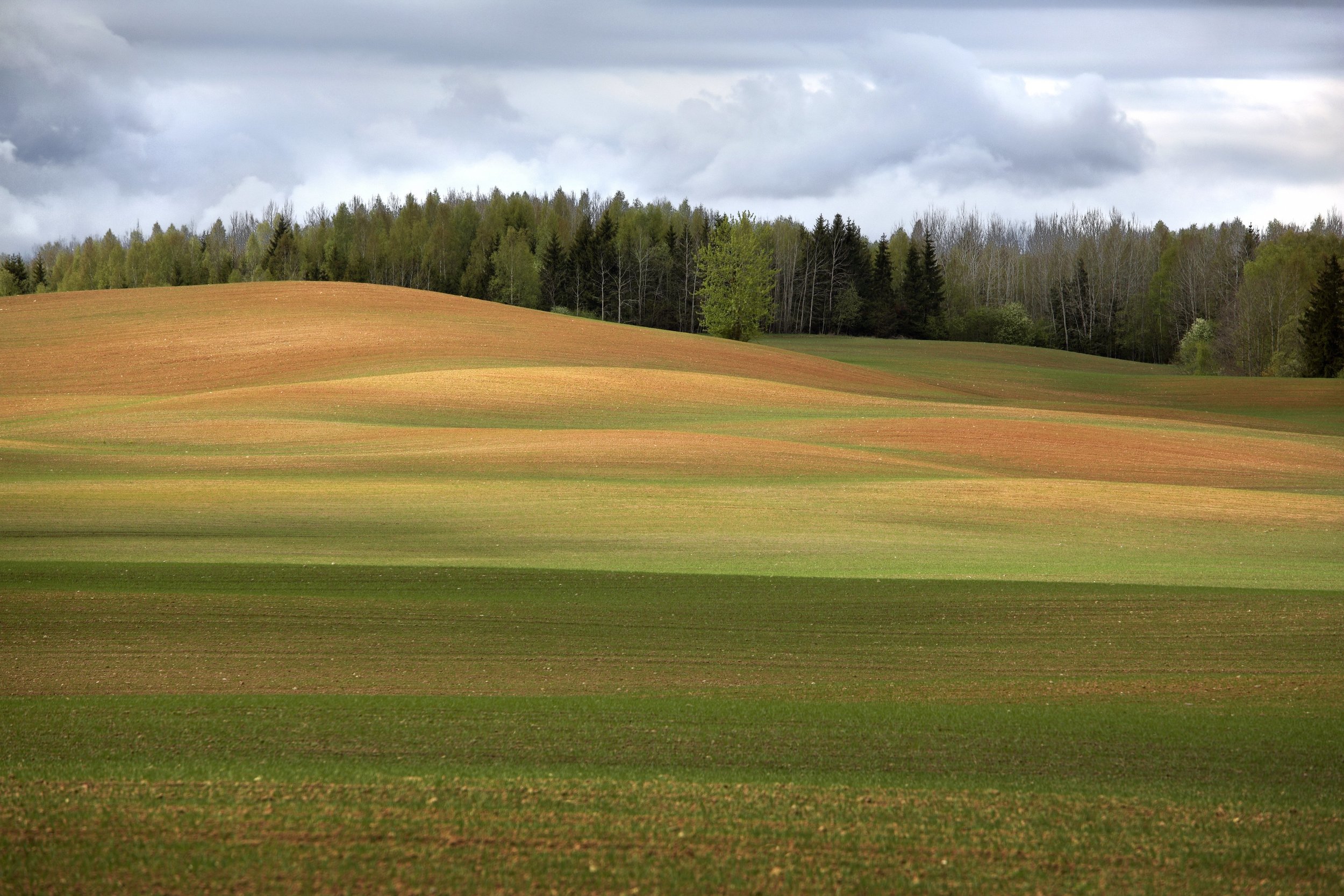IU14_Colours_of_Latvian_countryside_I_Urtans.jpeg