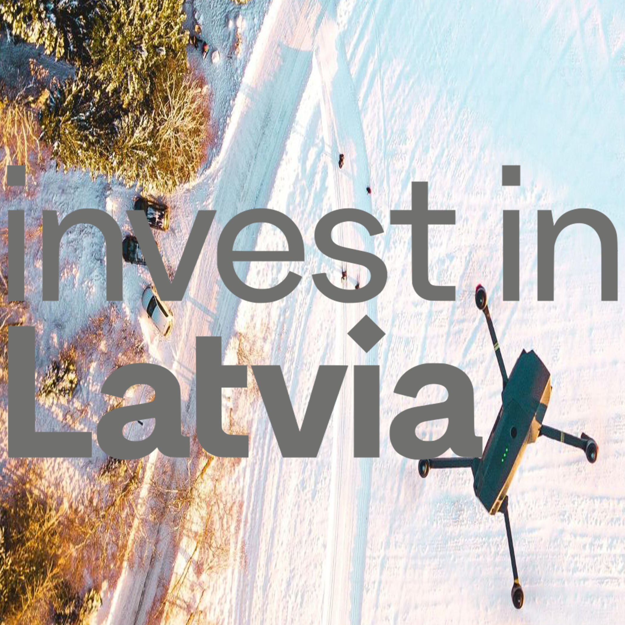  Investor information portal 