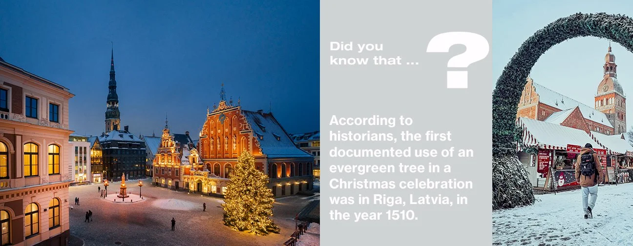 First Xmas Tree 2026.jpg