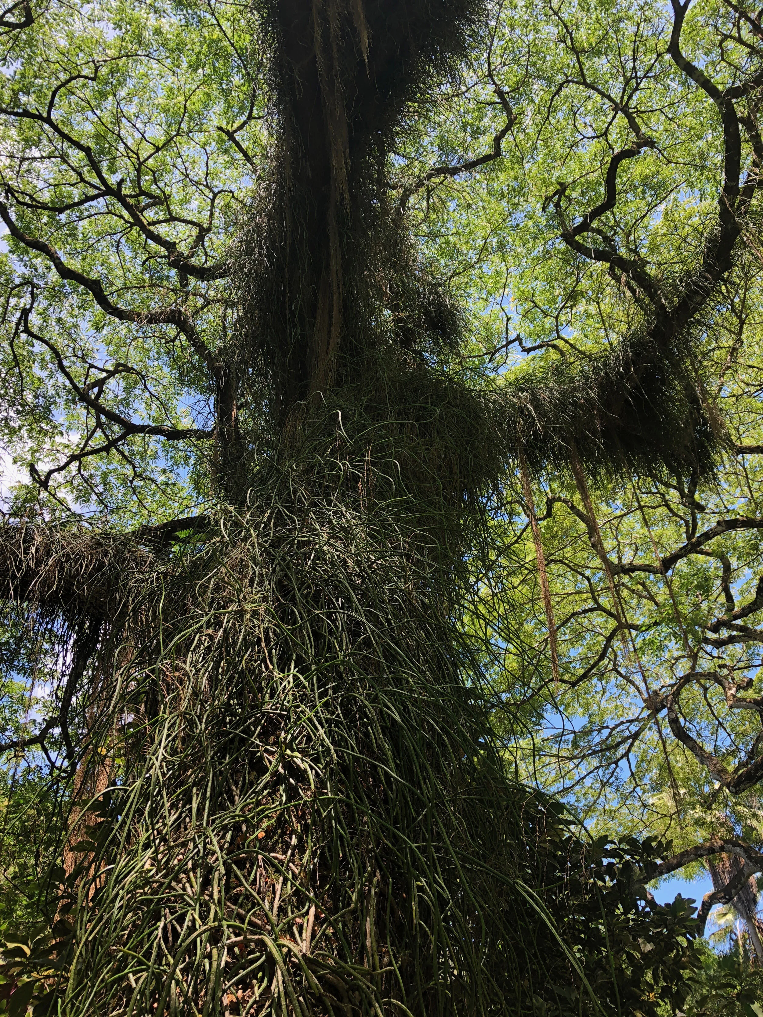 Philosophy — NJW WoodWorks