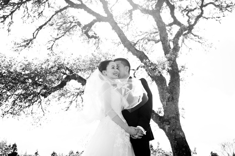 janaeshields.com | Janae Shields Photography | San Francisco Photographer | Wedding Photography in the Bay Area of Northern California | Thomas Fogarty Winery Events _ (11).jpg