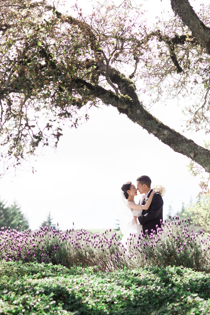 janaeshields.com | Janae Shields Photography | San Francisco Photographer | Wedding Photography in the Bay Area of Northern California | Thomas Fogarty Winery Events _ (10).jpg