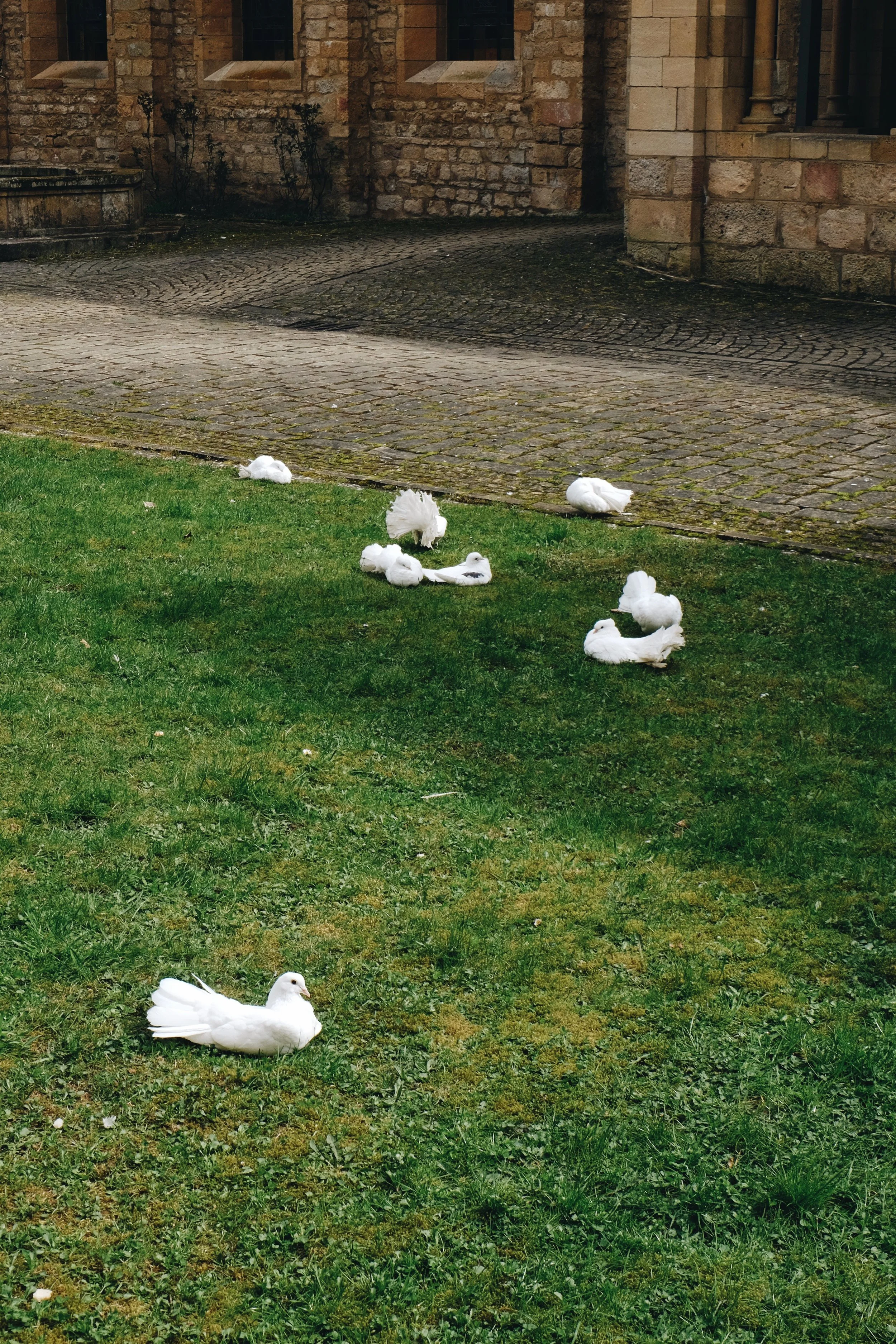 21.jpg