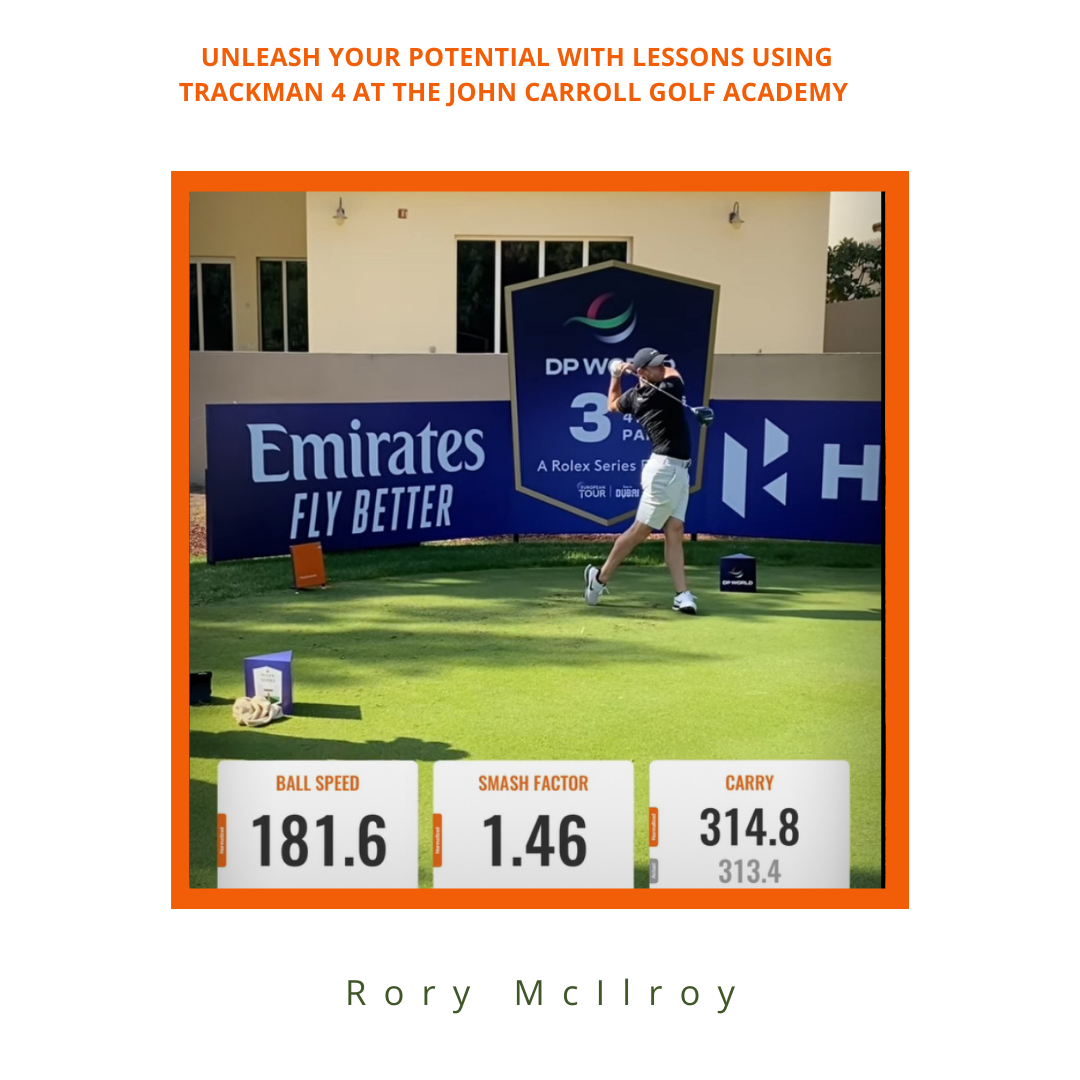 TM Rory McIlroy.png