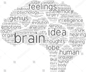 brainwhite.png