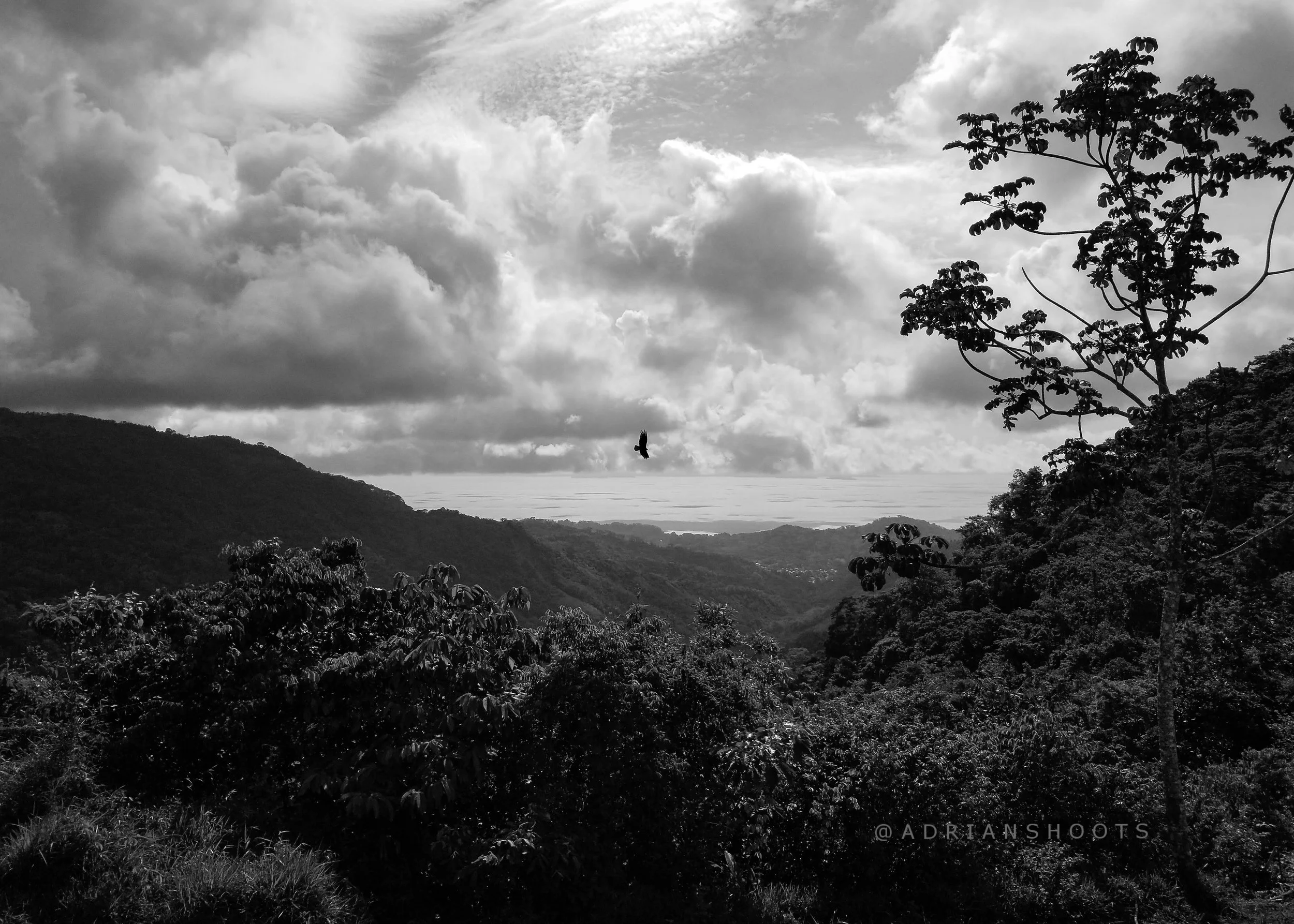 20180525_144656-4.jpg