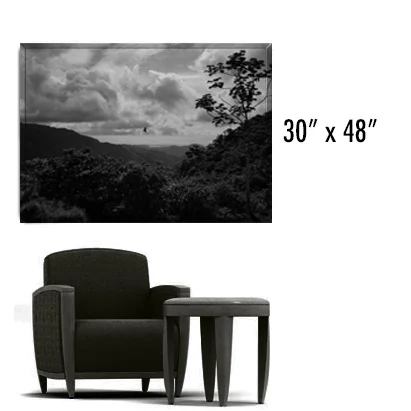 PV30X48.jpg