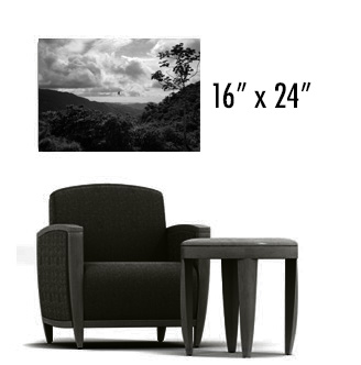 PV16X24.jpg