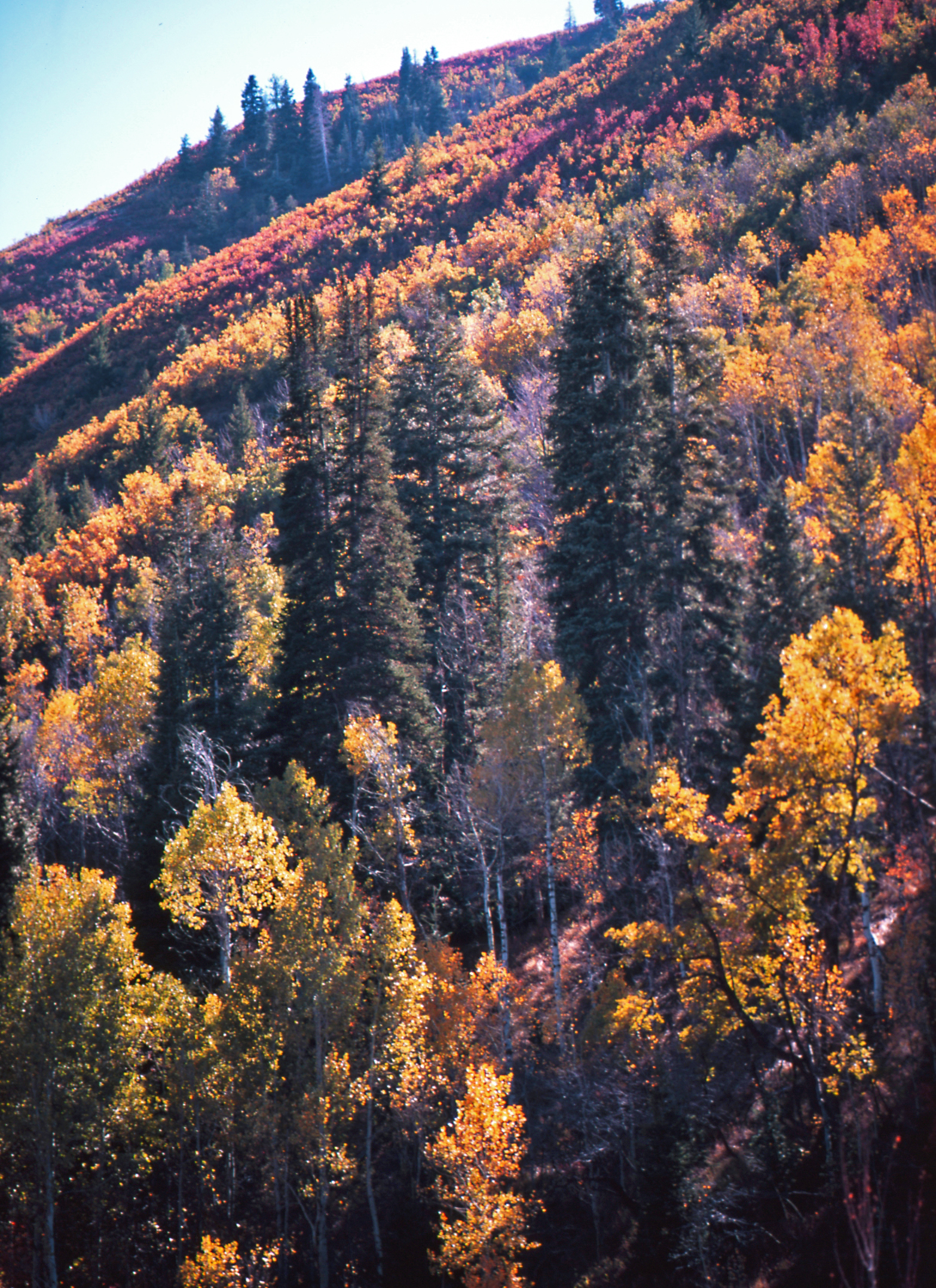 fall lodge 5x7s 021.jpg