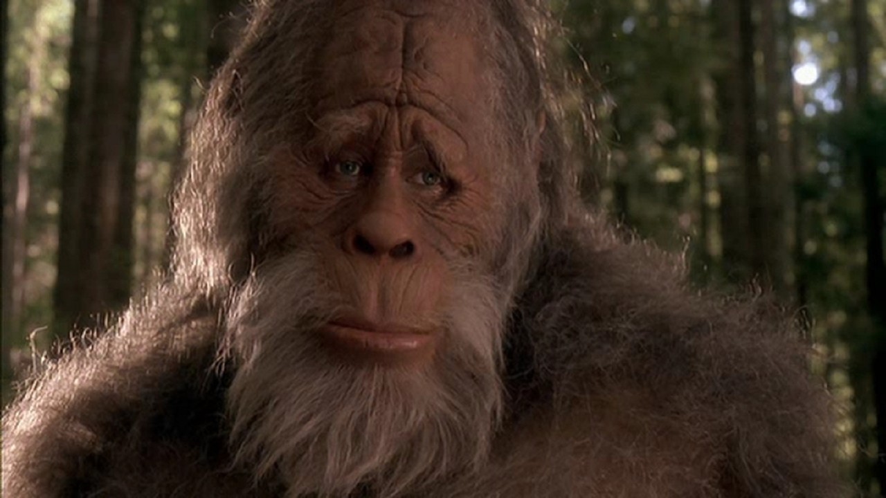 Review: Harry and the Hendersons (1987) — 3 Brothers Film