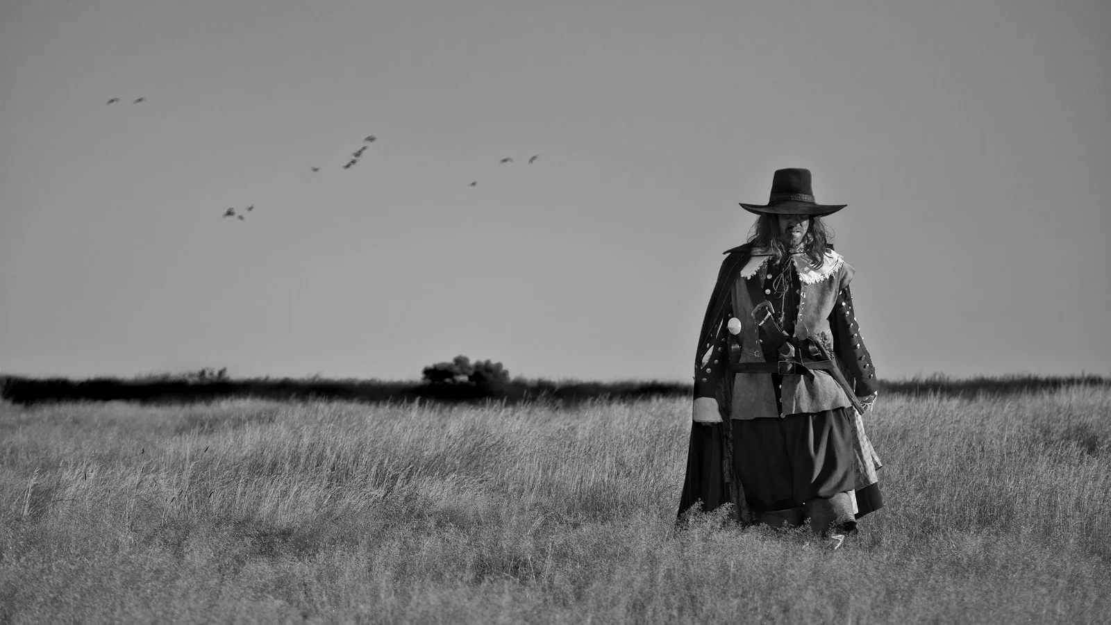 fieldinengland.jpg