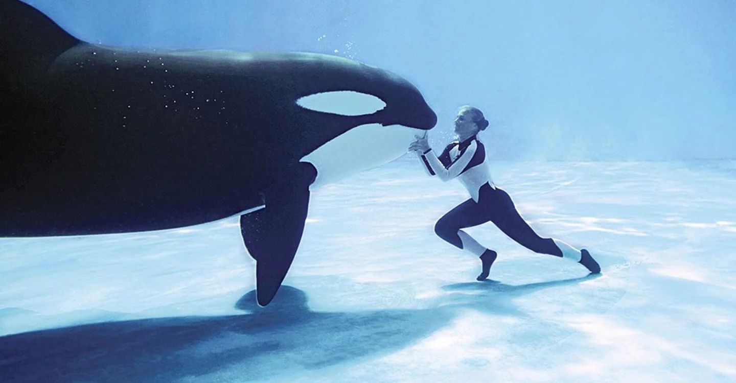 HotDocs13: Blackfish (2013)